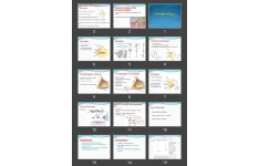 پاورپوینت Neurophysiology