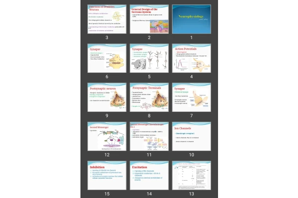 پاورپوینت Neurophysiology