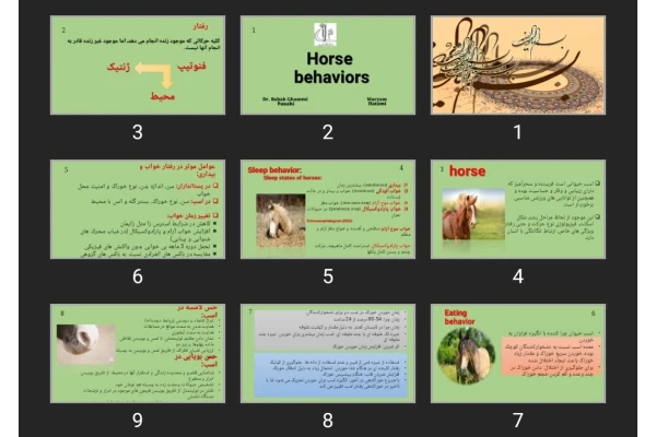 پاورپوینت رفتارشناسی در اسب Horse behaviors