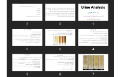پاورپوینت Urine Analysis
