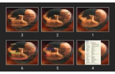 پاورپوینت Developmental Toxicology