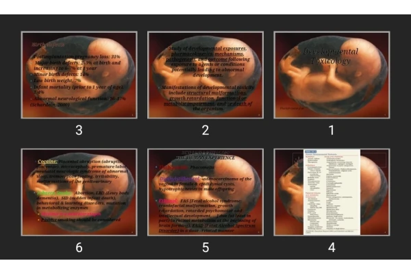 پاورپوینت Developmental Toxicology