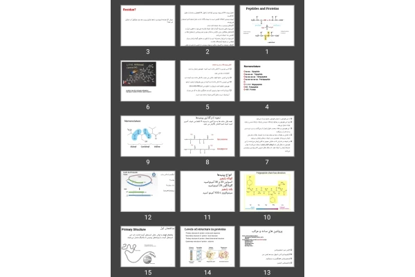 پاورپوینت Peptides and Proteins