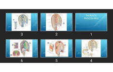پاورپوینت THORACIC PROCEDURES