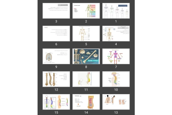 پاورپوینت (osteology) استخوان شناسی