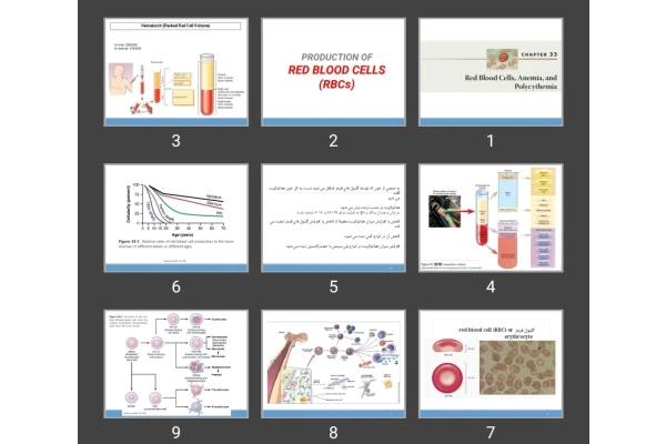 پاورپوینت PRODUCTION OF RED BLOOD CELLS (RBCs)