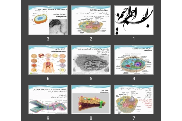 پاورپوینت سلول شناسی