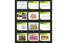 پاورپوینت دارورسانی از راه بینی