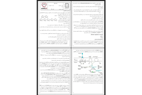 جزوه متابولیسم قند ۳