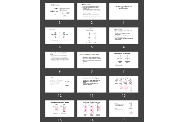 پاورپوینت Amino Acids, Peptides, and Proteins