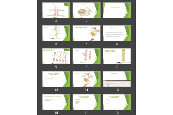 پاورپوینت آسیب عصبی Nerve injury