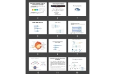 پاورپوینت The visual system