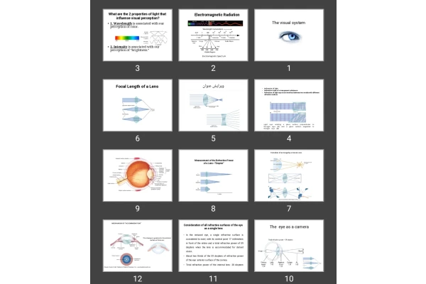 پاورپوینت The visual system