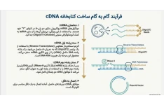 پاورپوینت/PDF تخصصی - فصل 14 - مبحث کلون کردن ژن در بیوتکنولوژی گیاهی