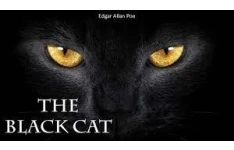 داستان صوتی کوتاه گربه سیاه