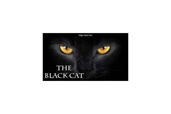 داستان صوتی کوتاه گربه سیاه