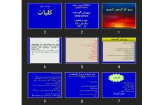 پاورپوینت پرورش گوسفند