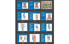 پاورپوینت Larynx