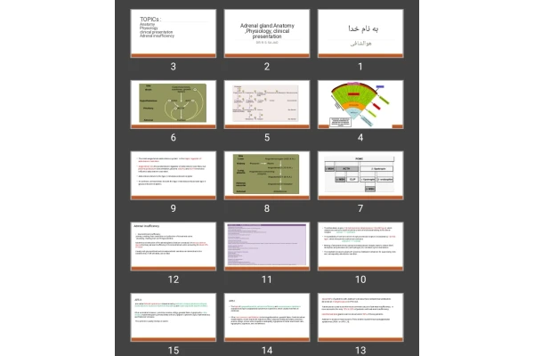 پاورپوینت آناتومی کارکردی و فیزیولوژی، تظاهرات بالینی بیماری های آدرنال Adrenal gland:Anatomy ,Physiology, clinical presentation