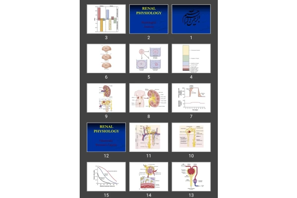 پاورپوینت RENAL Physiology