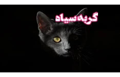 رمان گربه سیاه (جلد اول)/ بدون سانسور