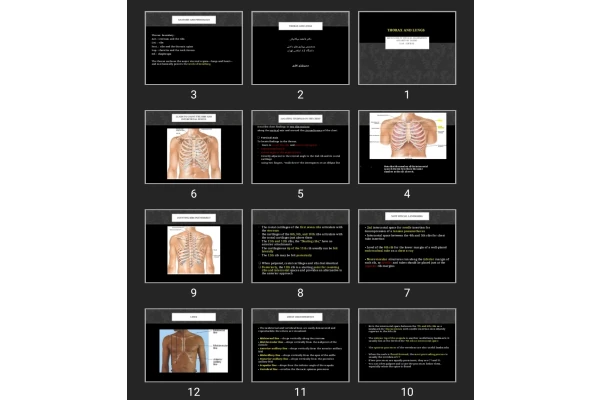 پاورپوینت Thorax and Lungs