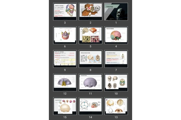 پاورپوینت Osteology