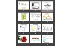 پاورپوینت Paper chromatography