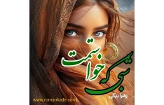 دانلود رمان شبی که خواستمت
