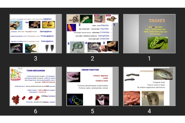 پاورپوینت snakes