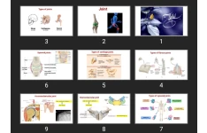 پاورپوینت Joints of upper limb and pectoral region