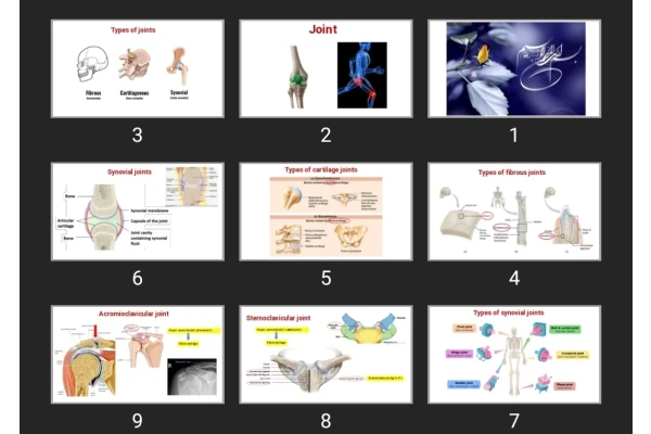 پاورپوینت Joints of upper limb and pectoral region