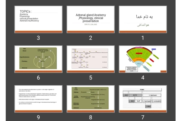 پاورپوینت Adrenal gland:Anatomy ,Physiology, clinical presentation