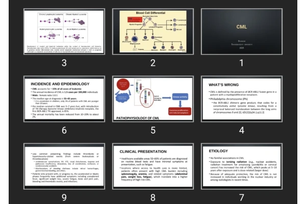 پاورپوینت cml