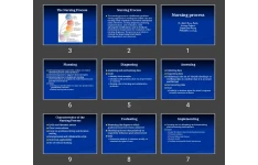پاورپوینت Nursing process