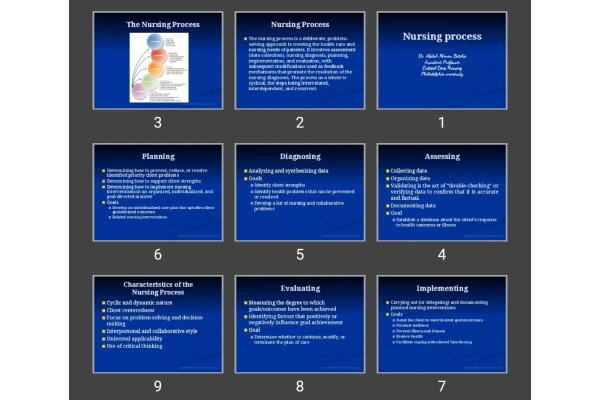پاورپوینت Nursing process