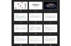 پاورپوینت Hematopoietic Cell Transplantation