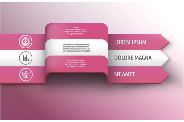 اینفوگرافیک مراحل انجام کار و تحقیقات