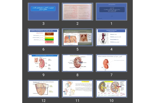 پاورپوینت مروری بر آناتومی و فیزیولوژی کلیه و مجاری ادراری