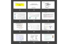 پاورپوینت تکامل و فعال شدن و تولید انواع آنتی بادی (Antibodies: Function And Structure)