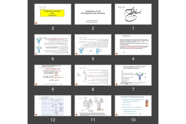 پاورپوینت تکامل و فعال شدن و تولید انواع آنتی بادی (Antibodies: Function And Structure)