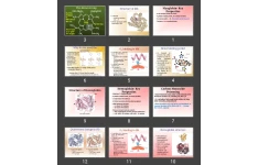 پاورپوینت myoglobin & hemoglobin
