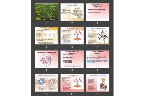 پاورپوینت myoglobin & hemoglobin