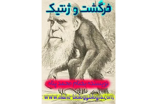 تکامل در ژنتیک 🔬 نسخه کامل ✅