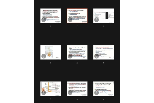 جزوه Gastrointestinal course