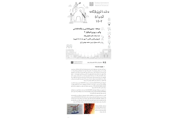 جزوه جنین‌شناسی و بافت‌شناسی پالپ و پری‌رادیکولر ۲
