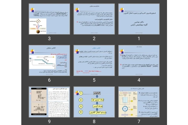 پاورپوینت فسفوریلاسیون اکسیداتیو و زنجیره انتقال الکترون