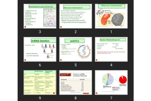 پاورپوینت Mitochondria