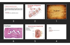 پاورپوینت Histology of Digestive system