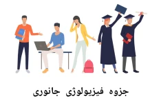 جزوه فیزیولوژی جانوری (زیست جانوری)